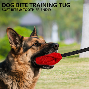 Profesyonel özel köpek Bite oyuncak çanta yırtılmaya dayanıklı kumaş köpek Bite eğitim Bite yeteneği için römorkör sopa Pet eğitim malzemeleri - Product Image 3