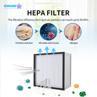 Filtro de Flujo Laminar de Tamaño Personalizado H13 H14 U15-U17, Filtro de Aire, Filtro HEPA para Cultivo de Hongos, Filtro de Panel para Ventilación