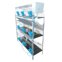 Cage d'élevage de lapins robuste galvanisée avec nichoir amovible pour usage agricole
