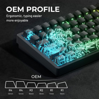 XVX Wave Kanagawa Version Pattern Shine-Through OEM Profile IMD-Tech Ensemble de touches de clavier mécanique pour jeux PBT+PC 118/84/61 touches