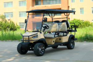 Proveedor Profesional de Carros de Golf, Scooter de Movilidad para Turismo con Batería de Litio de 36/72v, Carro de Golf - Product Image 5