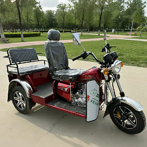 New Powered Right Three-Wheeled Motorcycle Sidecar Automatic Clutch Leisure Gasoline 2 Passengers - Product Image 3