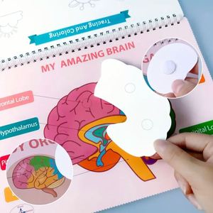 Montessori Busy Kid <b>Book</b> Human Body Anatomy Learning Activities Toddlers Preschoolers Early Childhood <b>Educational</b> Supplies Homey - Product Image 5