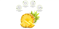 OLLI Capsules d'extrait d'ananas à la bromélaïne – Meilleures ventes – Complément de santé – Nutrition améliorée – Capsules d'extrait d'ananas à la bromélaïne