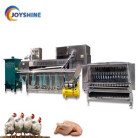 Équipement d'abattage automatique Halal pour volailles, machine de traitement, d'échaudage et de plumage de poulets à vendre
