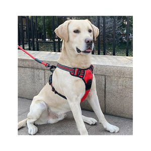 高反射ネオプレンカスタムドッグハーネスとリーシュセット反射タフ調整可能ラグジュアリーノープルドッグハーネス - Product Image 5