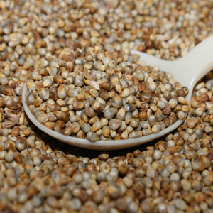Nutrition naturelle Bajra - Product Image 1