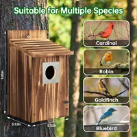 Nichoirs modernes pour oiseaux d'extérieur en bois avec protection anti-prédateurs en métal pour colibris, moineaux, hirondelles et pinsons