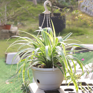 Macetas Colgantes para Plantas de Exterior, Colgador de Plantas de 10 Pulgadas para Interiores con Orificios, Cesta Colgante, Maceta, Perfecta para el Hogar - Product Image 3