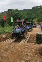 Camion de moto pour adulte 400cc, tricycle, Quad, boîte de chargement, côte à côte, buggy, utv