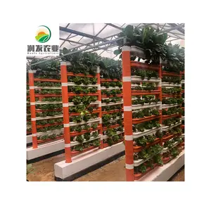 Hydroponic Vertical Garden Dutch Bucket Hydroponics System