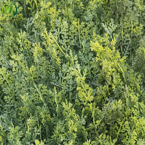 定制人造修剪形状框架户外塑料仿真柏树人造树植物柱花园景观装饰树 - Product Image 4