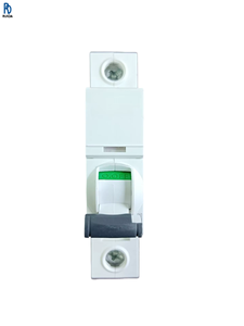 Interruptor de Circuito en Miniatura IC65N 1P D 4A, Interruptor de Sobrecarga, Interruptor de Bajo Voltaje, Montaje en Riel DIN - Product Image 1