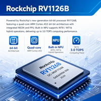 SoC de vision IA Rockchip RV1126 haute performance avec SDK RV1126 complet pour les systèmes de sécurité intelligents