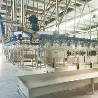 Machines d'abattage de poulet Maisheng 300, mini équipement d'abattage de volaille, abattoir de poulet en Afrique du Sud