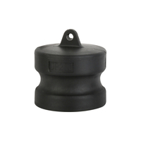 Bouchon anti-poussière Camlock Type DP 2 pouces pour adaptateur de réservoir IBC, raccord rapide, bouchon de protection à came et rainure pour connecteur de réservoir