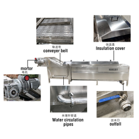 China Oorsprong Havery Voedselverwerkende Machine Voor Het Blancheren Van Aardappel, Broccoli, Pinda 'S, Vruchten, 300-2000 Kg/u Capaciteit