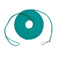 Laisse de dressage de chien imperméable et durable 5-50ft palangre légère avec fermoir solide pour l'entraînement en plein air Beach Yard Play