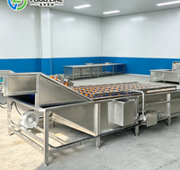 Productielijn voor het matchen van bubbelspoelmachines voor een complete groenteverwerkingsketen