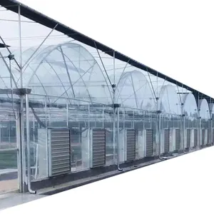 Made in cina sungh serra 2022 fornitore della fabbrica della cina serre agricole cina green house