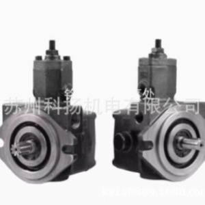 Pompe hydraulique Sewon à installation manuelle, débit variable, 220V, arbre de niveau, rotation à gauche, pour usage industriel - Product Image 3