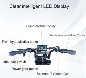 Bicicleta Eléctrica V8 de 20 Pulgadas con Llantas Gruesas, 250W 500W, Batería de Litio de 48V - Product Image 5