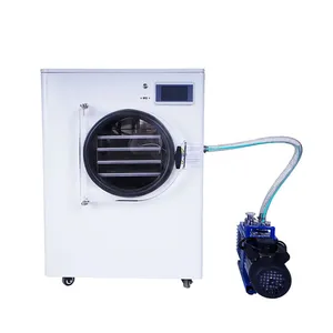 Commercial Lyophilizer Dry Machine Vacuum Price Small Capacity Freeze Dryer