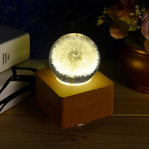 Hoa Khô Tự Nhiên Bất Hoa Pha Lê Bóng <span class=keywords><strong>LED</strong></span> Ánh Sáng Loa Có Thể Sạc Lại Điện Lễ Hội Quà Tặng Trang Trí Phòng - Product Image 6