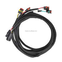 Unit Kontrol Mesin EV OEM ODM, Kabel Harness ECU, Konektor Pin Ganda dan Terminal, Perakitan Kabel Kustom