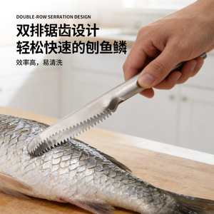Écailleur à poisson en acier inoxydable Chef Season Show, design tout acier pour outils à fruits de mer - Product Image 5