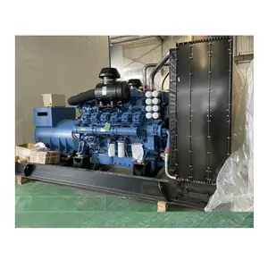 Groupe électrogène diesel professionnel du rendement élevé 20kw groupe électrogène diesel du groupe électrogène 3kva diesel du groupe électrogène 30kva