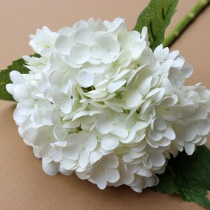 High Quality Artificial <strong>Hydrangea</strong> Flowers White <strong>Hydrangea</strong> Blue Real Touch <strong>Hydrangea</strong> for Decoration - Product Image 1