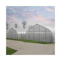 Grande serre tunnel à toit gothique à simple travée, structure en acier galvanisé de haute qualité, film PE protégé contre les UV pour culture commerciale