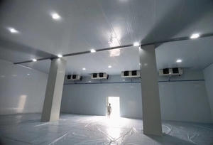 Hoàn thành phòng lạnh lạnh đơn vị động cơ thành phần cốt lõi ngưng tụ đơn vị cho hiệu quả lạnh phòng lưu trữ - Product Image 3