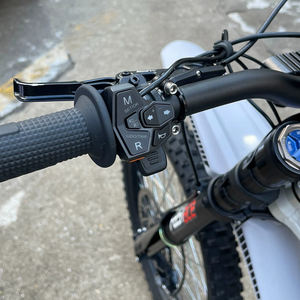 2025 Falcon <span class=keywords><strong>GT</strong></span> 79 bicicleta eléctrica Dirt Bike 16.8KW para potencia máxima 72V 40Ah batería de litio Motor Central motocicleta eléctrica - Product Image 6