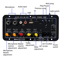 Amplificateur domestique mono canal 5.0, sortie classe D 30-120W, 4 Ohms, radio FM, USB/TF/SD, double microphone, télécommande, contrôle des basses, mini format compact