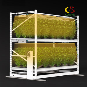 Kygreenhouse Sistema vertical hidropónico Dos estantes de cultivo Teir para cáñamo médico - Product Image 4