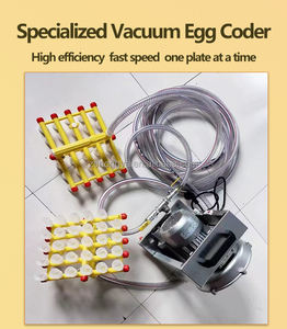 Máquina de succión de huevos al vacío a <span class=keywords><strong>precio</strong></span> de venta, succión de huevos de gallina - Product Image 4