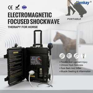 Máquina de Terapia de Ondas de Choque Focalizadas en Equinos de 0-66 mm de Profundidad, Dispositivo para Caballos con Pantalla Táctil de 10.4 Pulgadas, Ondas de Choque Focalizadas, Soporte de Entrenamiento Gratuito - Product Image 1