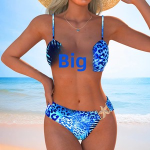 2026 Foreign Trade New Style Split 2 Piece Set Women's Sexy Backless Strap Racing Beach <strong>Swimsuit</strong> Durable - Product Image 3