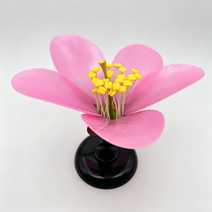 Modelo de Demostración de Disección de Flor de Durazno - Product Image 1