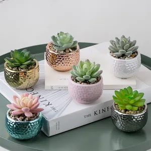 Mini Faux Aloe Potted Plants Arrangements Potted Tropical Succulents Cactus Artificial Plants