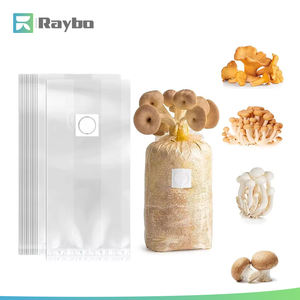RAYBO Wholesale Full Oxygen Breathable PP Square Grow Bag Mushroom And Edible Fungus Cultivation For Mushroom Grow - Product Image 1