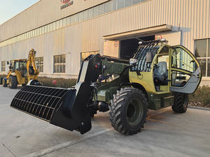 Tonlita chino directamente proveedor diésel hidráulico pequeño telescópico Boom Truck 3Ton telescópico carretilla elevadora - Product Image 4