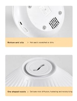 Diffuseur d'huiles essentielles ultrasonique 160 ml, humidificateur à flamme, aromathérapie à l'oignon, purificateur d'air