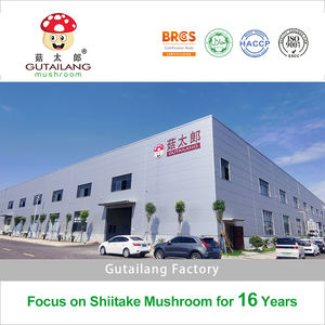 Fabbrica di funghi secchi <span class=keywords><strong>Shiitake</strong></span>, - Product Image 2