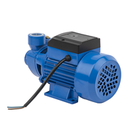 Qb70 0.75hp fonte puissance électrique qb périphérique laiton turbine pompe Surface pompe à eau