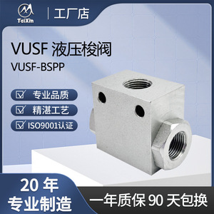 Válvula hidráulica de travesía TaiXin Vusf de 1/2 pulgada BSP, válvula de control direccional de dos vías para tubería de acero al carbono - Product Image 2
