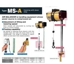 Gru pneumatica dell'equilibrio EHB-50 / 85 / 130 / 270 paranco pneumatico del giappone ENDO