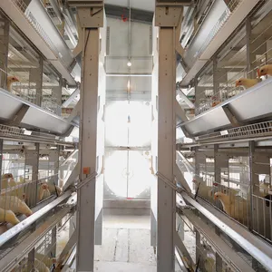 עוף בית עיצוב עבור שכבות 10000 שכבה תרנגולות חוות ציפור זול שכבה עוף כלוב למכירה